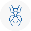 Ant Removals In Holborn
