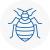 Bed Bug Extermination In Holborn