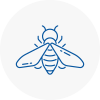 Bee Nest Removal Holborn