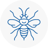 Holborn Hornet Nest Removals