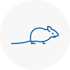 Mice Exterminators In Holborn