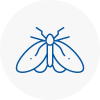 Moth Control Specialists In Holborn