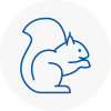 Holborn Rodent Removals