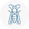 Holborn Wasp Nest Removal